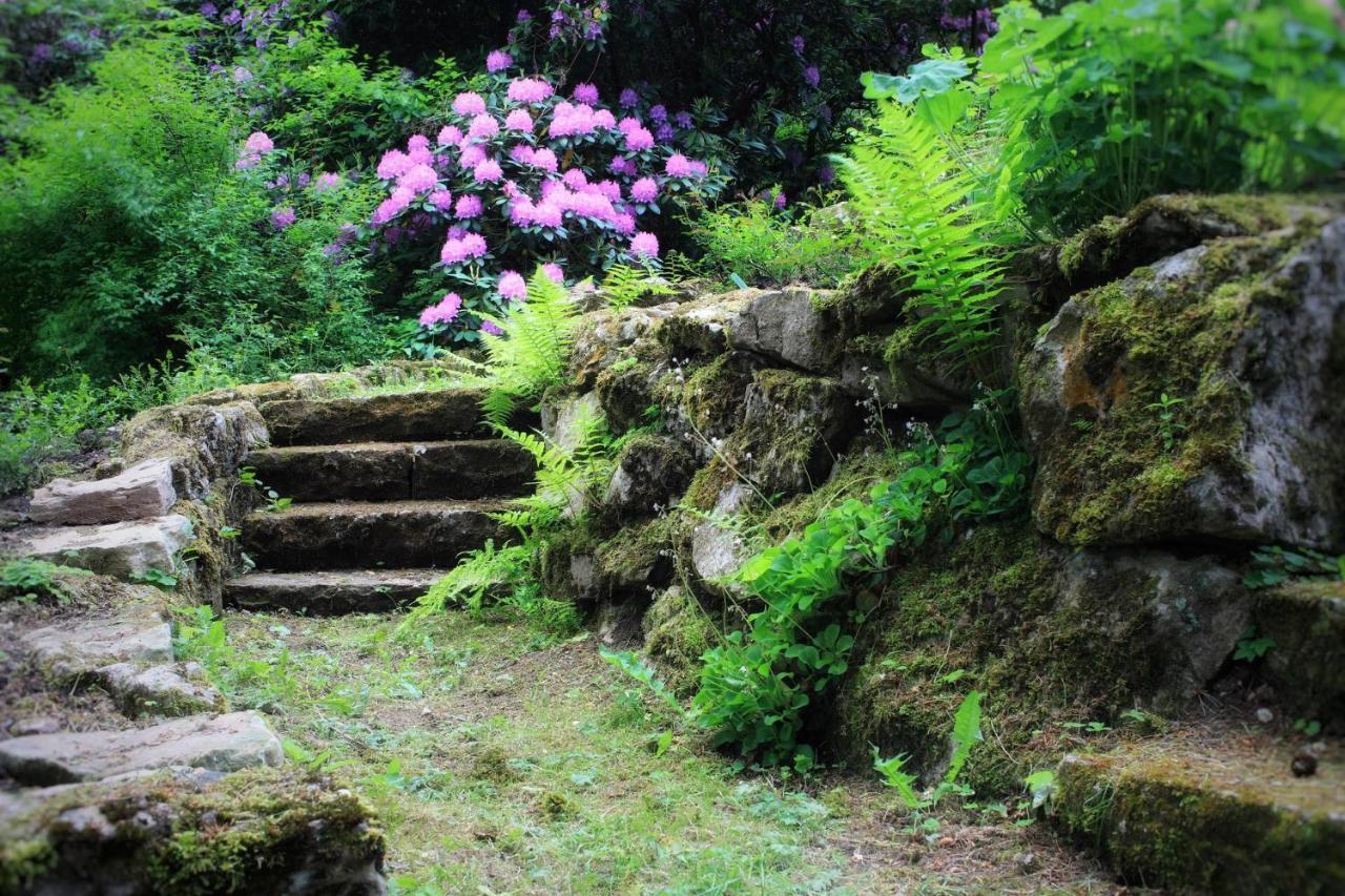 Villa Brodthage, App. 4 Walkenried Dış mekan fotoğraf