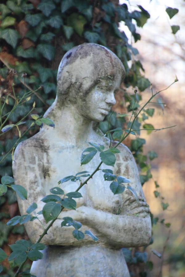 Villa Brodthage, App. 4 Walkenried Dış mekan fotoğraf